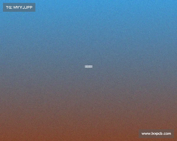 摩洛哥夺冠 摩洛哥夺冠